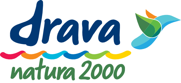 Slovenščina